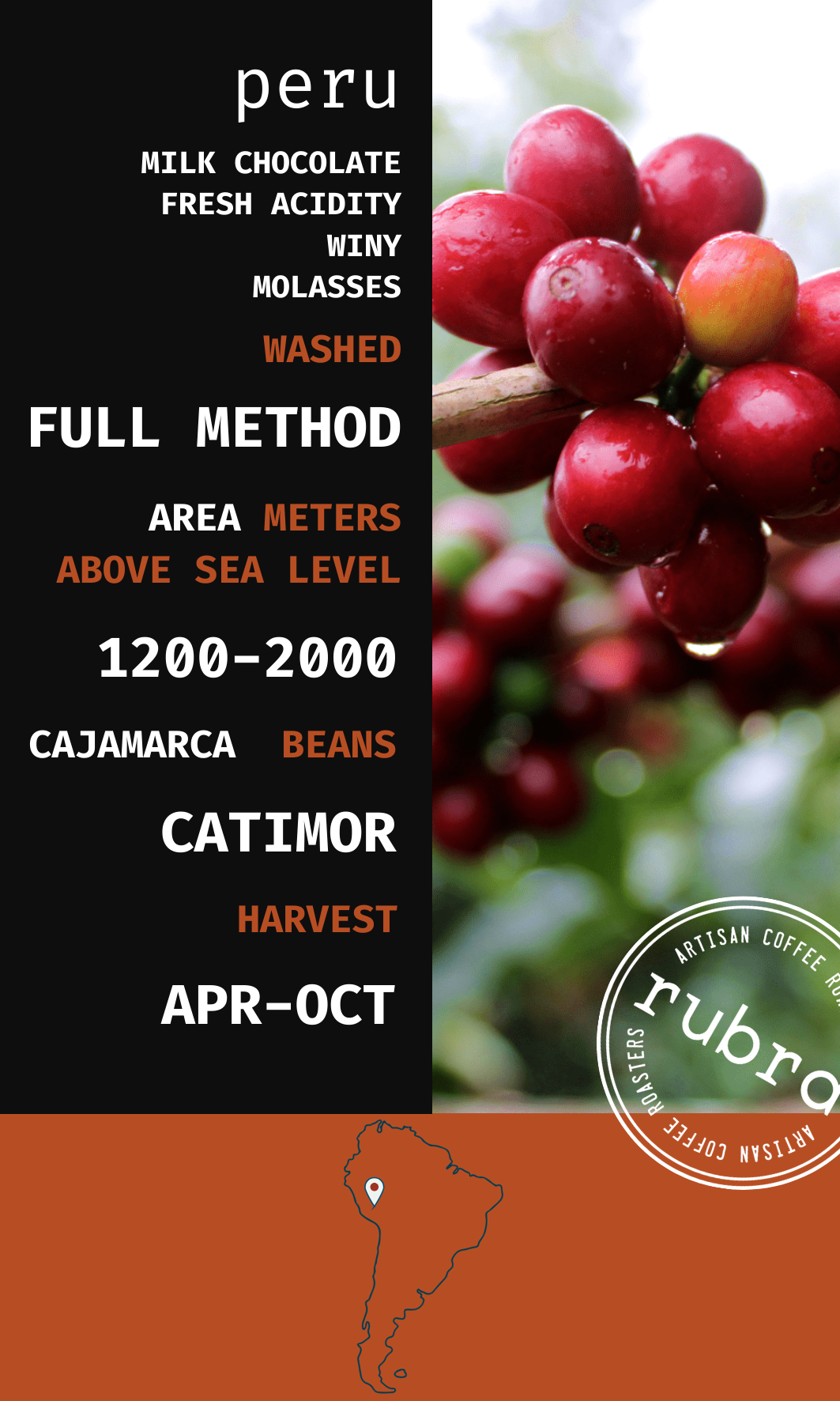 Peru FILTER ROAST– Rubra Coffee