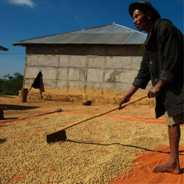East Timor Organic - Rubra Coffee